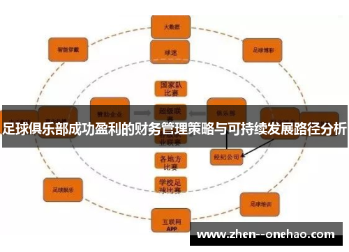 足球俱乐部成功盈利的财务管理策略与可持续发展路径分析