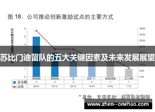 苏比门迪留队的五大关键因素及未来发展展望 苏比门迪留队的五大关键因素及未来发展展望