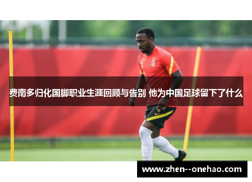 费南多归化国脚职业生涯回顾与告别 他为中国足球留下了什么